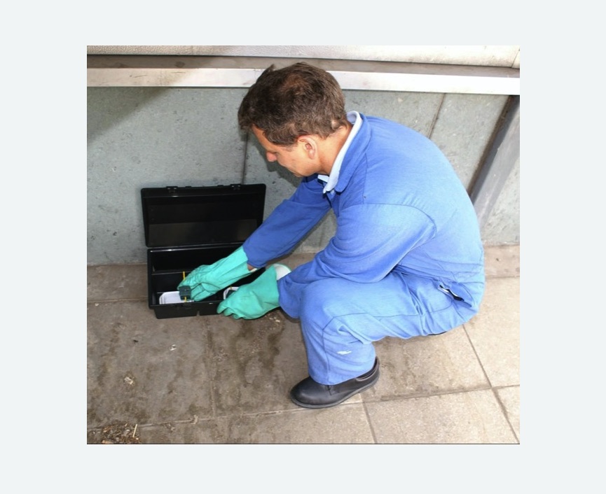 Уничтожение мышей в поселке Первомайское Уничтожение мышей