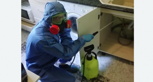 Уничтожение муравьев в квартире. поселок Первомайское