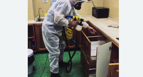 Уничтожение насекомых в квартире. поселок Первомайское