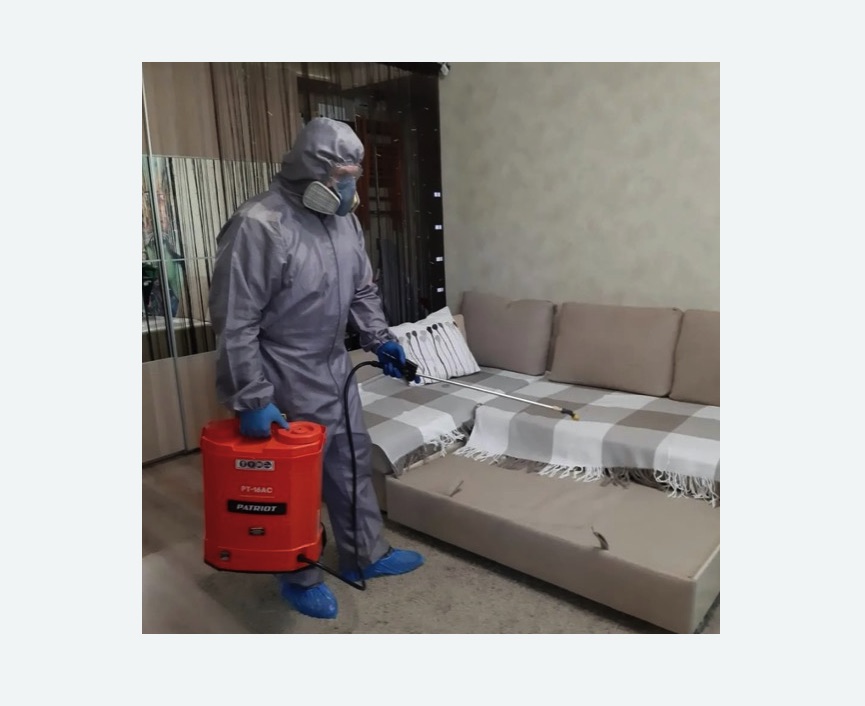 Обработка квартиры от блох в поселке Первомайское Обработка квартиры от блох