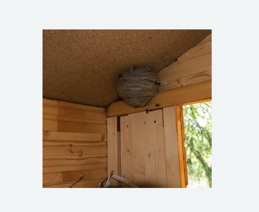 Обработка от ос в поселке Первомайское Обработка от ос