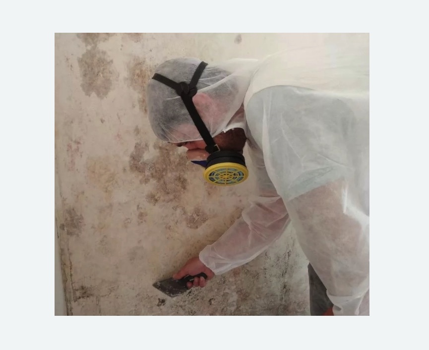 Обработка стен от плесени Обработка стен от плесени в поселке Первомайское