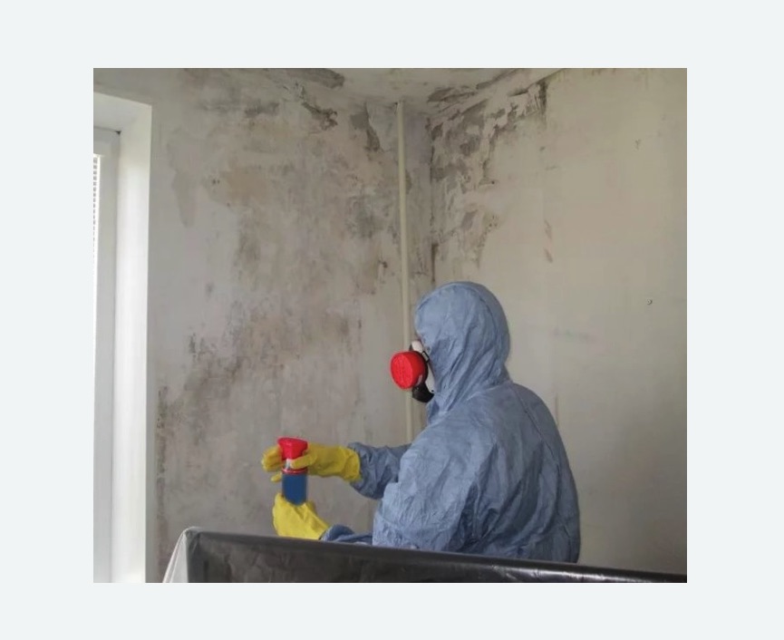 Удаление плесени в квартире Удаление плесени в квартире в поселке Первомайское