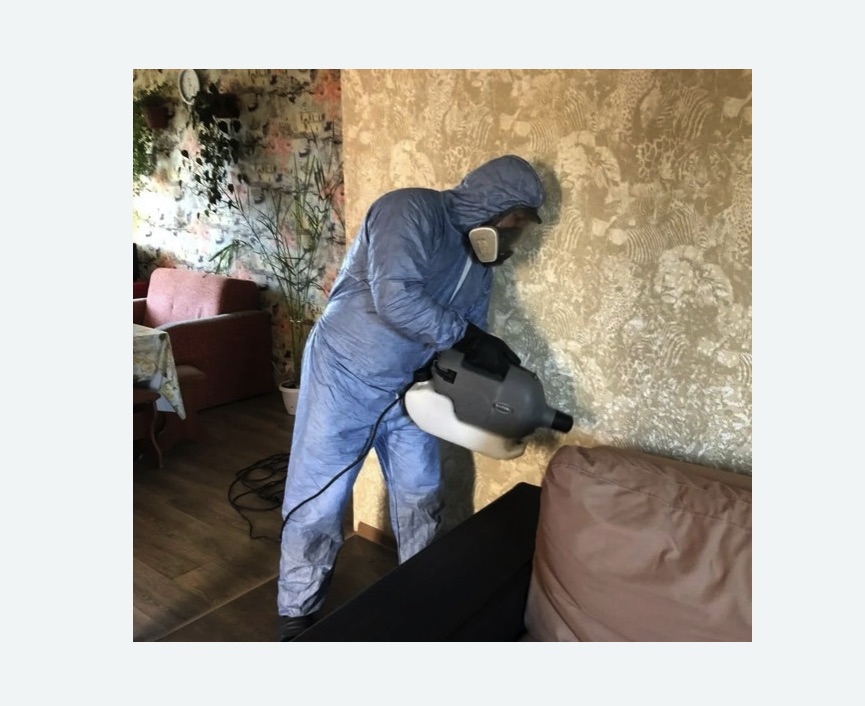 Уничтожение блох в квартире. поселок Первомайское Уничтожение блох в квартире