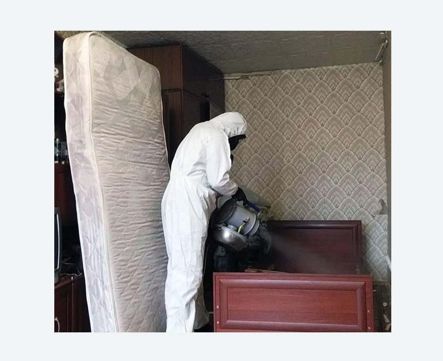 дезинфекция от клопов дезинфекция от клопов в поселке Первомайское