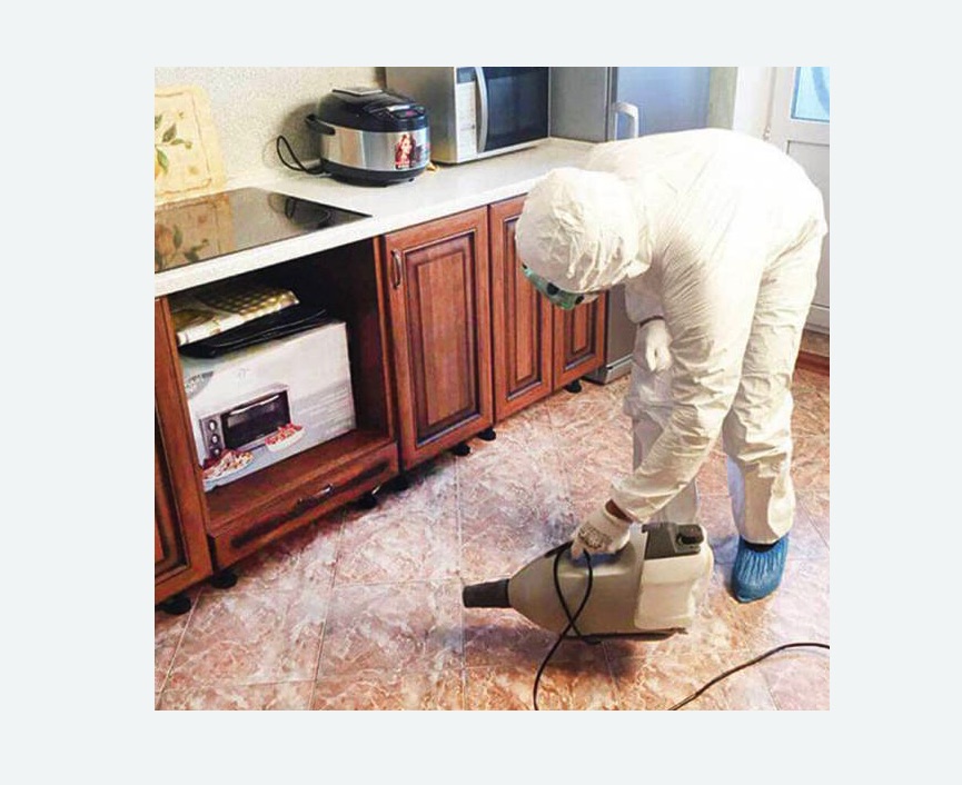 обработка квартиры от клопов в поселке Первомайское обработка квартиры от клопов