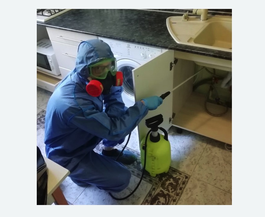 обработка от муравьев в квартире обработка от муравьев в квартире в поселке Первомайское