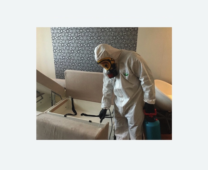 уничтожение клопов в квартире уничтожение клопов в квартире в поселке Первомайское