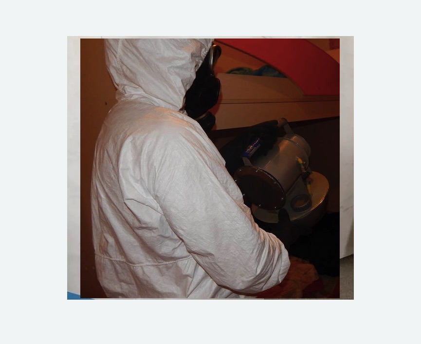 Дезинфекция от муравьев Дезинфекция от муравьев в поселке Первомайское