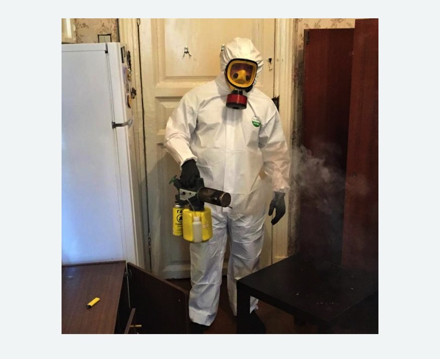 уничтожение муравьев в квартире уничтожение муравьев в квартире в поселке Первомайское